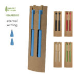 Conjunto de esferográfica e lápis eterno